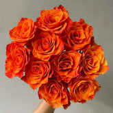 Belta Rose