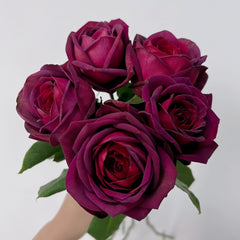 Black Caviar Rose