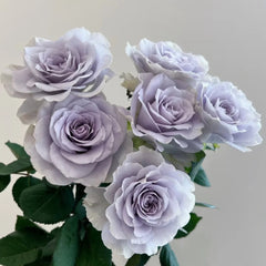 Blue Gravity Rose
