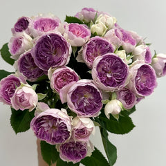 Blue moon stone Rose