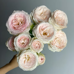 Bridal lace Rose