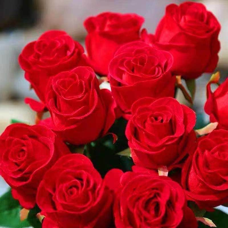 カタログギフトも！ Carola Rose-卡罗拉｜France Cut Rose – Ergongzy Roses ホビーラジコン