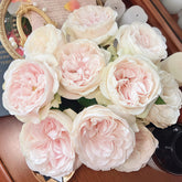 Chiffon Rose
