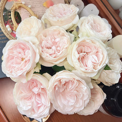 Chiffon Rose