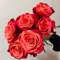Coral Sea Rose
