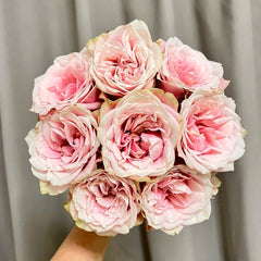 Cosmic Dragon Fruit Rose-超级火龙果 | Chinese Cut roses -Pre-Sale