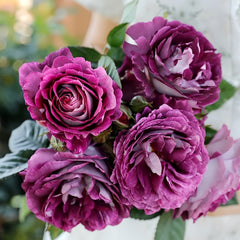 Huddersfield choral society rose