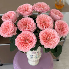 Mayfield Rose
