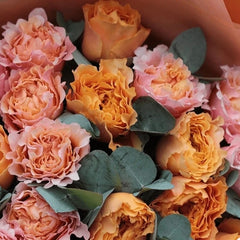 Mayra's Rose Peach Rose