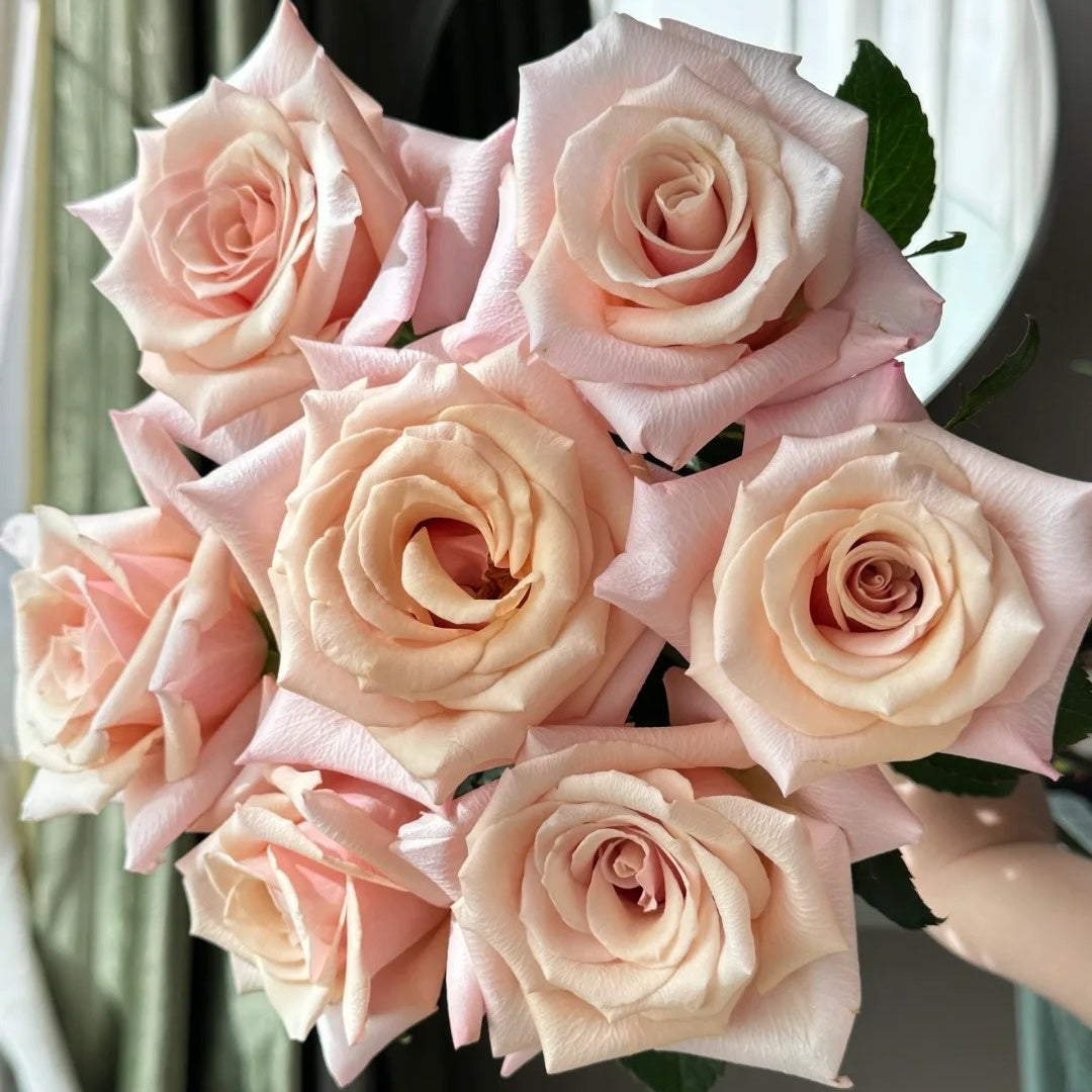 Mother of Pearl Rose