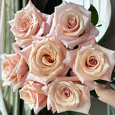 Mother of Pearl Rose