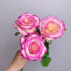 Nine-Tailed Fox Rose