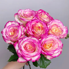 Nine-Tailed Fox Rose