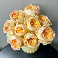 Osmanthus Chestnut Pastry Rose