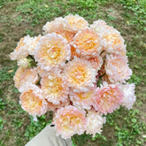 Peach Anemone Rose