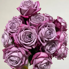 Perfu purple Rose