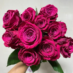 Roseberry Rose