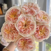 Spring confession rose