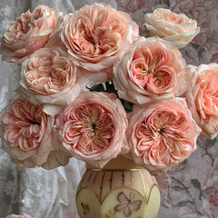 Spring confession rose