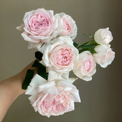 Wedding Box Rose