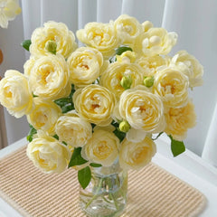 Yellow Ambridge Rose