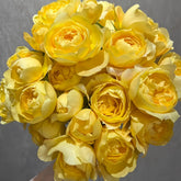 Yellow Juicy Terrazza Rose