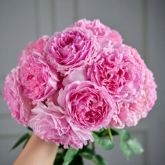 Yves Jeanne Loriod Rose