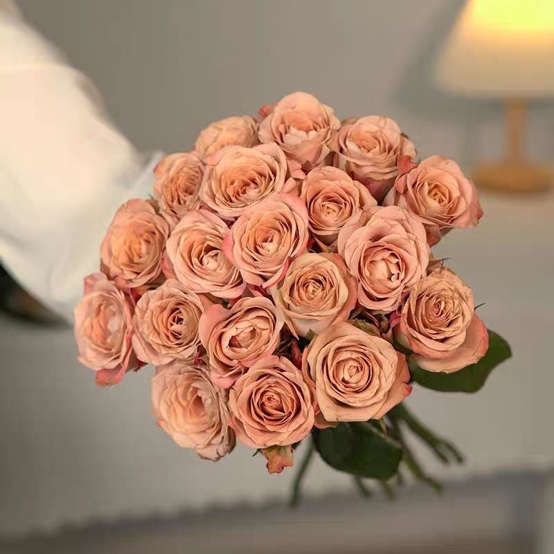 Cappuccino Rose.卡布奇诺 – Ergongzy Roses