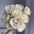 Moonstone Gem Rose-月光石｜Dutch Cut  Rose