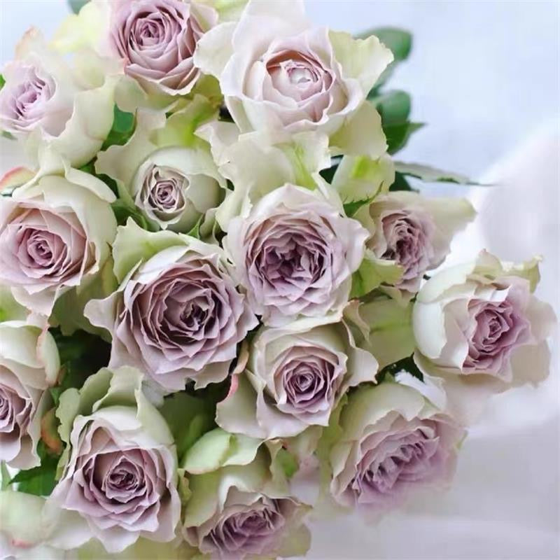 Lapis Veil Rose-青金石面纱｜Japanese Cut Rose