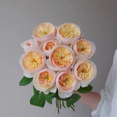 Cut Rose 1m