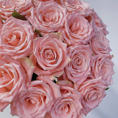 Almond Nougat Rose