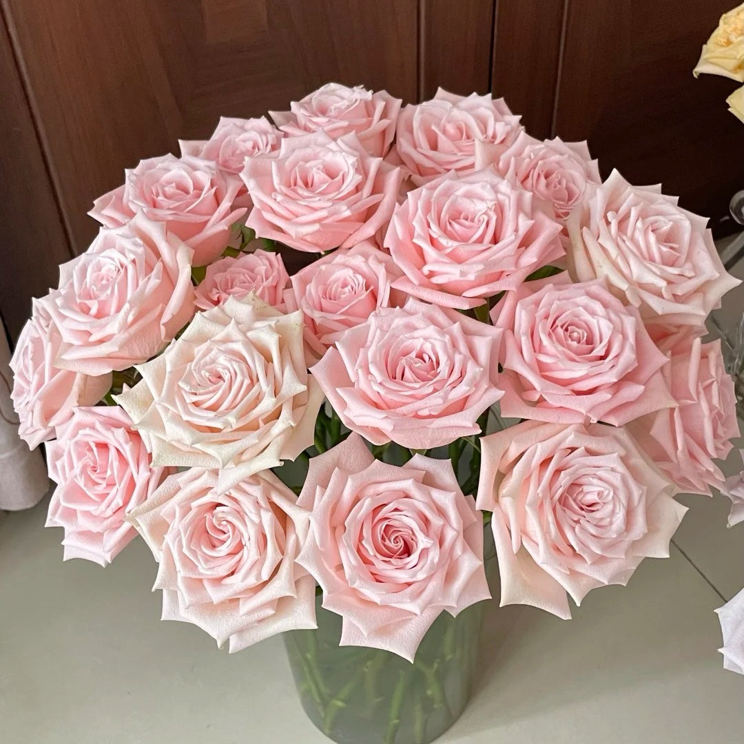 Almond Nougat Rose-杏仁奶糖 | Chinese Cut Roses-Pre-Sale