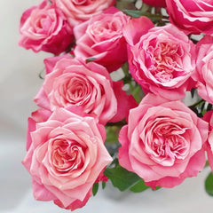 Alter Ego Rose