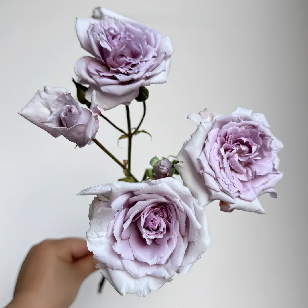 Antique Watch Rose