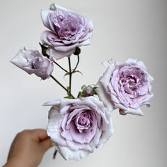 Antique Watch Rose