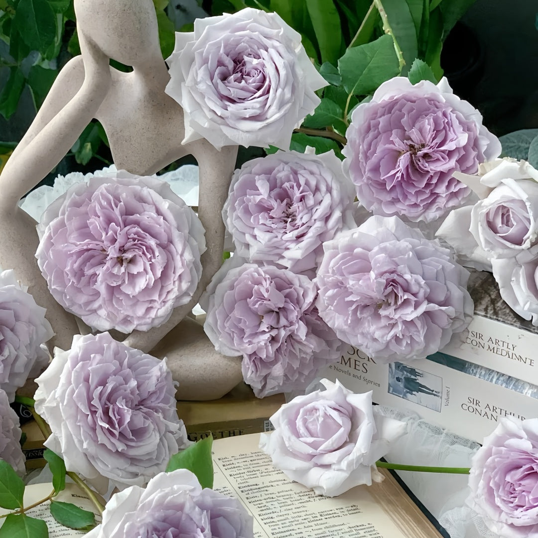 Antique Watch Rose