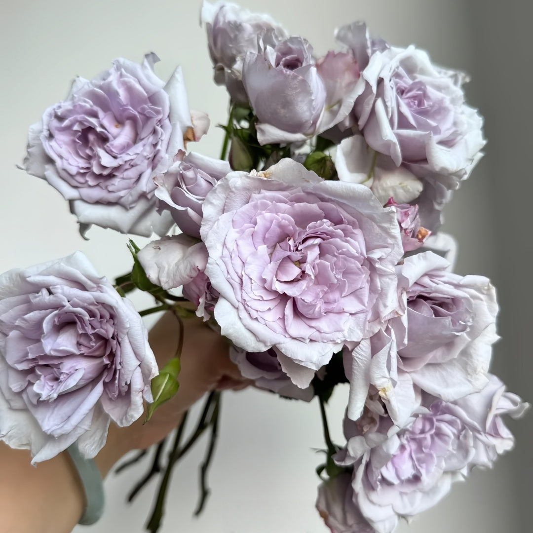 Antique Watch Rose