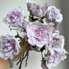 Antique_Watch_Rose08_medium.