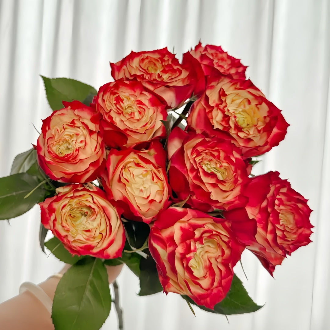 Apple Jack Rose