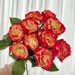 Apple Jack Rose