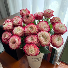 Apple Jack Rose-苹果杰克｜Netherlands Cut Rose – Ergongzy Roses