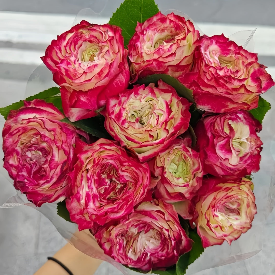 Apple Jack Rose