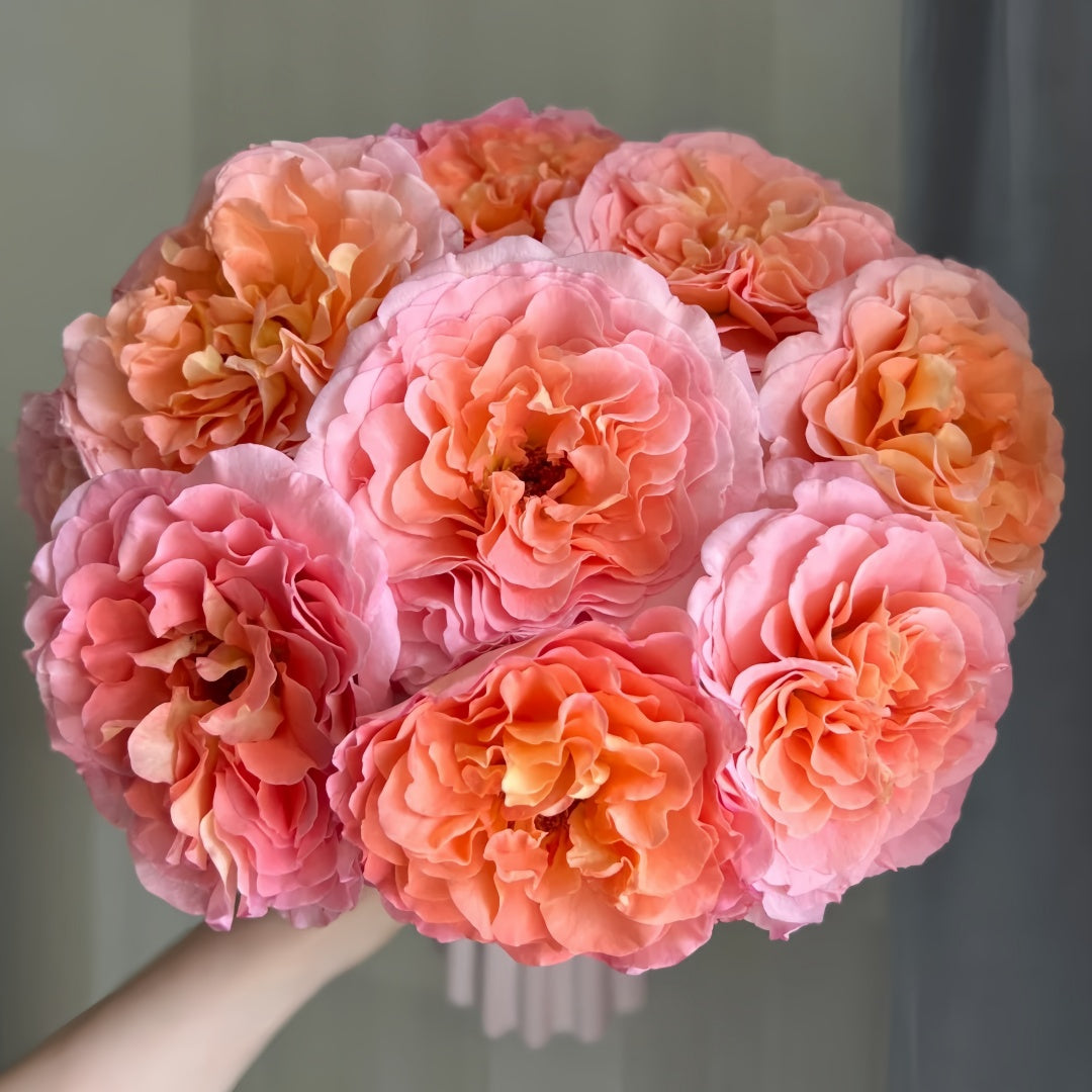 Augusta Luise Rose