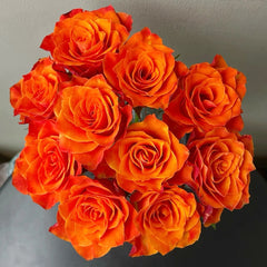 Belta Rose