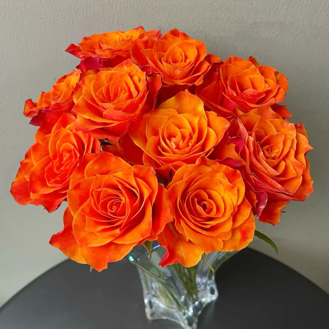 Belta Rose