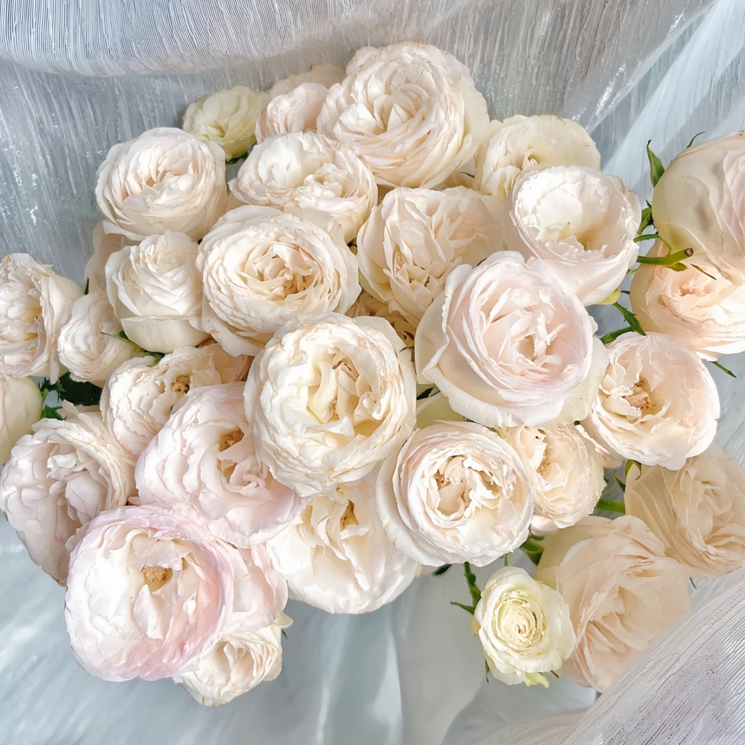 Bridal lace Rose