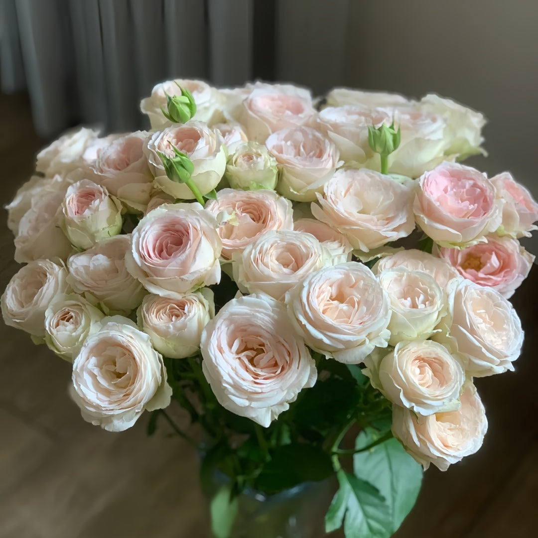 Bridal lace Rose