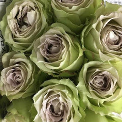 Lapis Veil Rose-青金石面纱｜Japanese Cut Rose