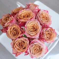 Pimms Rose-皮姆斯｜Dutch Cut  Rose